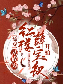 [综穿] 从成为红楼薛宝钗开始