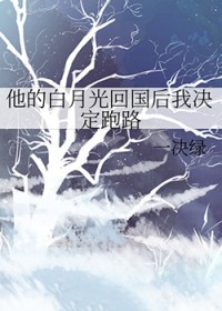 他的白月光回国后我决定跑路