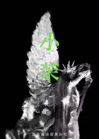 小茉（年代 强制）